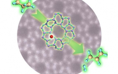 Angew：合成骨架Fe分子筛催化丙烷非氧化脱氢