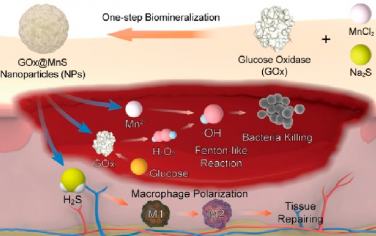 Nano Lett：葡萄糖氧化酶驱动纳米级联体释放硫化氢以治疗糖尿病感染