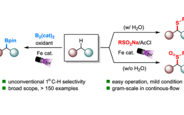 JACS：Fe光催化C-H键硼化、巯基化、亚磺酰基化