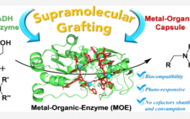 JACS：用于太阳能化学转化的辅助因子修饰金属有机胶囊的酶接枝