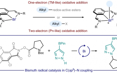 Nature Chemistry：铋自由基催化氧化还原活性亲电试剂的活化和偶联