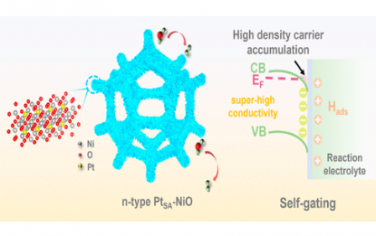 ACS Nano：单原子 Pt 掺杂诱导 NiO 纳米片中 p 型向 n 型转变，实现自门控调制电催化析氢反应