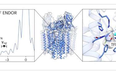 Nature Catalysis：产物类似物结合鉴定颗粒甲烷单加氧酶的铜活性位点