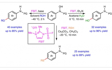 Nature Catalysis：芳基羟胺的区域选择性极反转对-C–H功能化