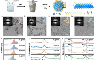Advanced Materials：表面配体构建性能优于天然辣根过氧化物酶的钌基纳米酶可强化免疫检验效果
