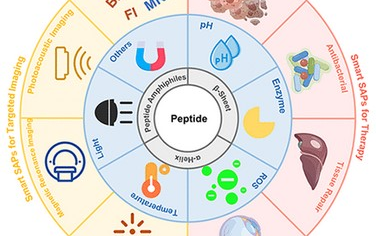 ACS Nano：分子级刺激响应自组装肽纳米颗粒用于靶向成像和治疗