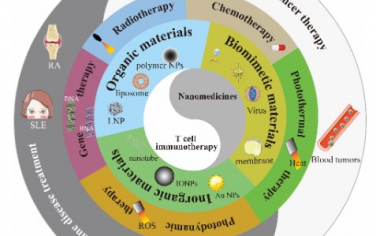Advanced Materials：T细胞免疫疗法中的纳米药物综述