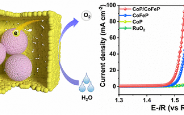 ACS Nano： CoP纳米颗粒包裹在介孔CoFeP纳米立方体内增强OER