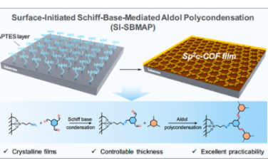 JACS: 单层辅助表面引发的席夫碱介导的羟醛缩聚用于合成结晶 sp2 碳共轭共价有机骨架薄膜
