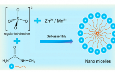 JACS：纳米级电解质控制离子释放并重建超稳定高能量密度Zn-Mn电池的氢键网络