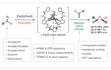 Nature Chemistry：铁（III）基金属自由基催化不对称环丙烷反应