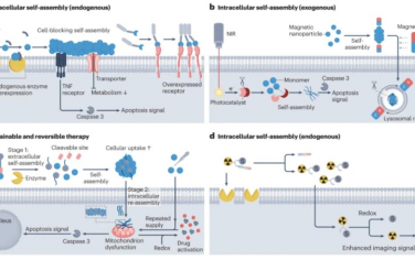Nature Reviews Materials：用于癌症治疗和成像的原位自组装