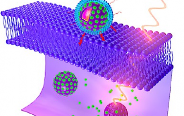ACS Nano：pH响应性上转换介孔二氧化硅纳米球用于多模态诊断成像和靶向癌症治疗