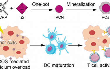 ACS Nano：矿化的卟啉金属有机骨架增强肿瘤消除和联合免疫治疗