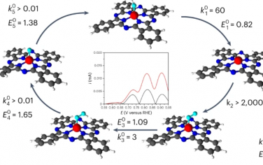Nature Catalysis：通过瞬态电化学表征Fe-卟啉催化剂的ORR反应动力学
