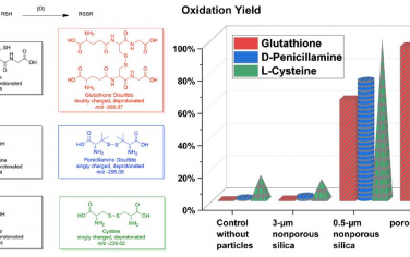 PNAS：二氧化硅颗粒将含硫醇分子转化为二硫化物