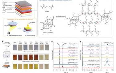Nature Energy: 通过抑制离子扩散稳定3D/2D钙钛矿异质结构