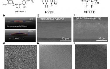 Science Advances：聚偏氟乙烯类纳米纤维强化的质子传导芳香薄膜可用于实现高性能耐久性燃料电池