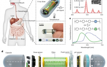 Nature Biomedical Engineering：可吞咽X射线剂量计实现实时放疗监测