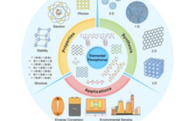 Chem. Soc. Rev.：元素磷材料的性能、合成及其在可持续能源和环境中的应用