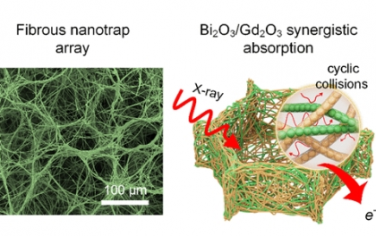 ACS Nano：具有叶子启发的纳米陷阱阵列的Bi2O3/Gd2O3元气凝胶可实现高效的X射线吸收