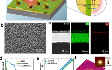 Nano Letters：在等离子体光催化剂中观测电荷分离强化现象