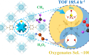 JACS：单原子Ru1/UiO-66催化甲烷羟基化100%选择性