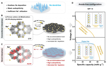 Science Advances：氟化多孔框架可实现坚固的无阳极钠金属电池
