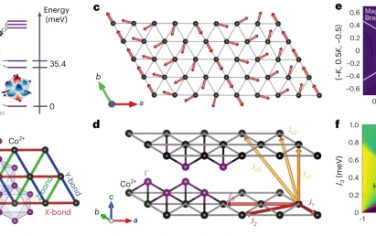 Nature Physics：钴基Kitaev三角形反铁磁体的键相关各向异性和磁振子衰变