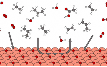 徐冰君&陆奇Nature Catalysis：室温常压活化烷烃
