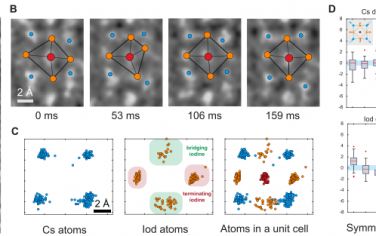 JACS：原子薄卤化物钙钛矿纳米线瞬态结构动力学的直接观察