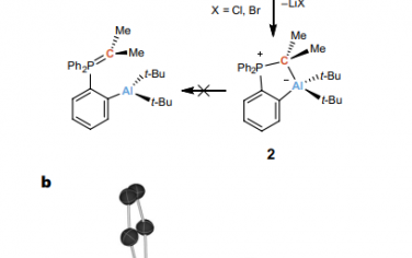Nat. Chem.：一种结晶铝碳基双亲物，能够在非水介质中活化和催化转移氨