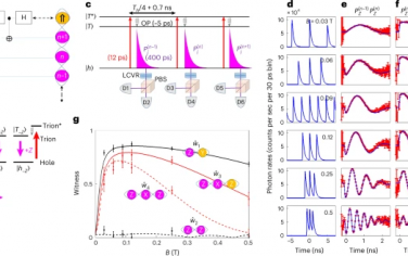 Nature Photonics：簇态中不可分辨光子的决定性生成