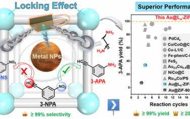 JACS：锁定策略合成金属@MOF催化剂实现选择性的稳定催化