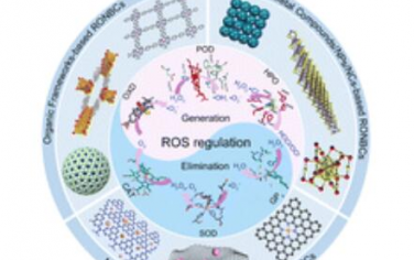 Chem. Soc. Rev.：活性氧纳米生物催化剂的活性机理揭示、催化中心演变和变化状态