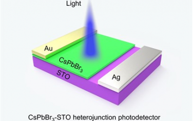 Adv Mater：CsPbBr3-SrTiO3异质结光探测器