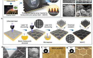 Advanced Materials：具有机械耐久性的仿生结构及其坚固光热疏冰表面