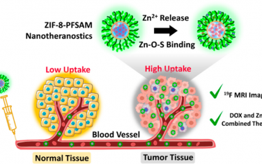 ACS Nano：用于19F磁共振监测癌症治疗的亲水性可转换的含氟聚合物-MOF混合体