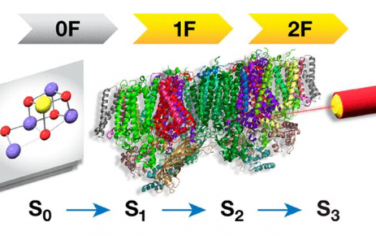 JACS: 连续飞秒晶体学是否描述了析氧复合物的状态特异性催化中间体？