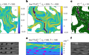 Nature Physics：活性向列相中相干结构的缺陷介导动力学