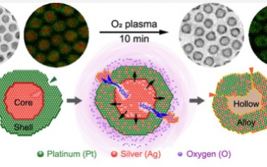 ACS Nano：氧等离子体诱导纳米通道可制备双金属空心纳米晶体
