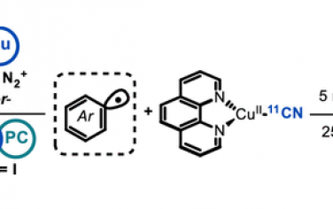 JACS：Cu介导芳基碘合成同位素标记芳基氰化物