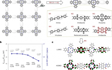 Nature Nanotechnology：酞菁基聚（苯并咪唑并菲咯啉）-梯形二维共轭聚合物的超高电荷迁移率
