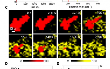 Science Advances：通过operando方法深入了解Co单原子电催化剂催化Li─S氧化还原反应的基本机理