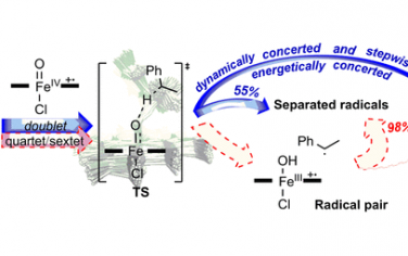 JACS：Fe-卟啉催化苯乙烯羟基化的分子动力学