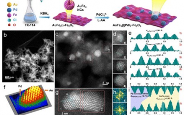ACS Nano：AuFe3@Pd/γ-Fe2O3纳米片可作为原位可再生加氢催化剂