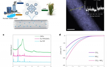 Nature Sustainability：二氧化碳和硝酸盐的脉冲共电解用于可持续尿素合成