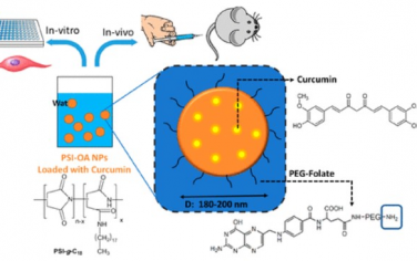 ACS Nano：可协同抗血管钙化的生物活性可降解聚合物纳米颗粒
