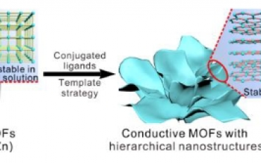 Angew：用于超级电容器和化学电阻传感器的绝缘 MOF 前驱体纳米结构导电 MOF 的一般合成