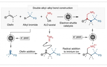 Nature Catalysis：镍电子穿梭催化在烯烃上构建双烷基-烷基键